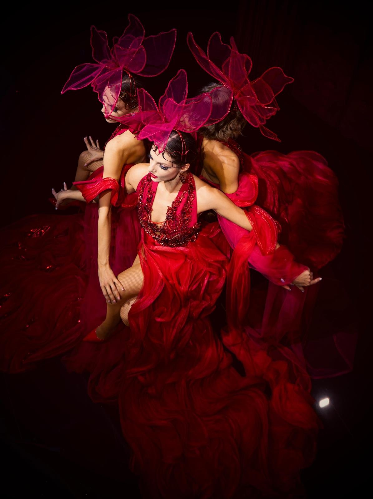 
                Showciety dancers
                performing on stage
                